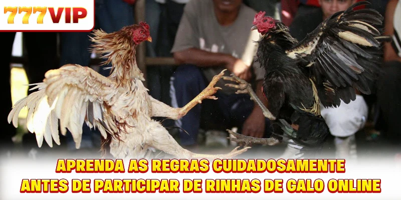 Algumas vantagens que tornam as rinhas de galo online atraentes Algumas vantagens que tornam as rinhas de galo online atraentes