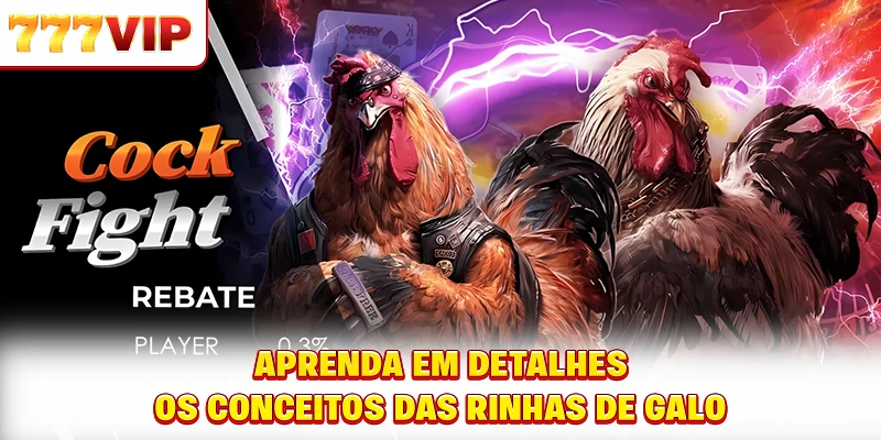 Aprenda em detalhes os conceitos das rinhas de galo